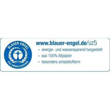 fripa Papierhandtuch Plus 4021101 V-Falz 25x23cm gn 20x250 Bl./Pack.-2