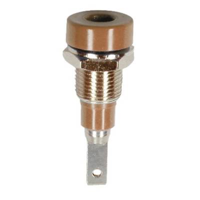 Stäubli 2mm Bananenbuchse Braun, Kontakt versilbert, 30 V, 60V dc / 10A Flachstecker-0
