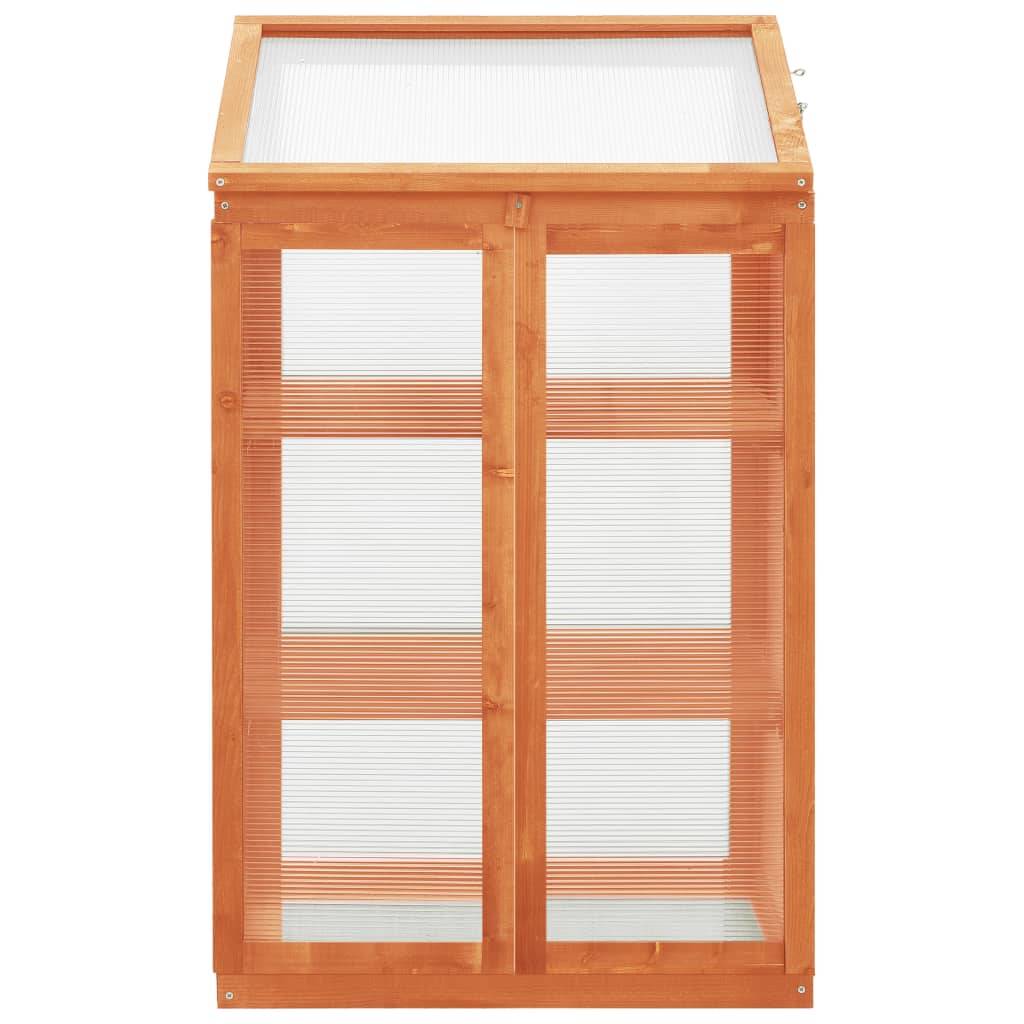 vidaXL Gewächshaus 60x45x100 cm Tannenholz-2