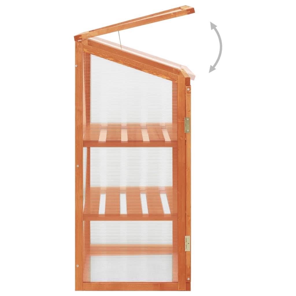 vidaXL Gewächshaus 60x45x100 cm Tannenholz-3