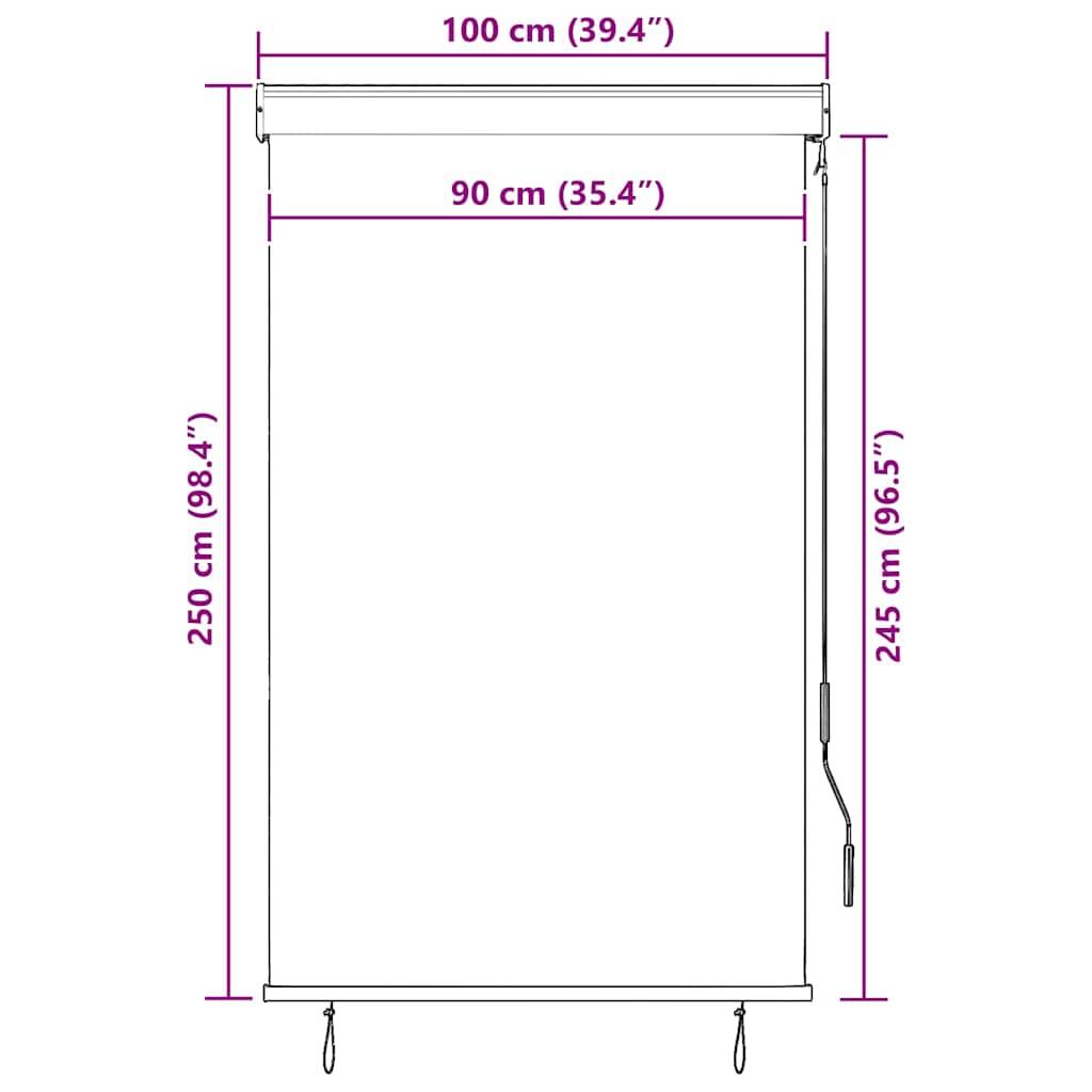 vidaXL Außenrollo 100 x 250 cm Blau und Weiß-4
