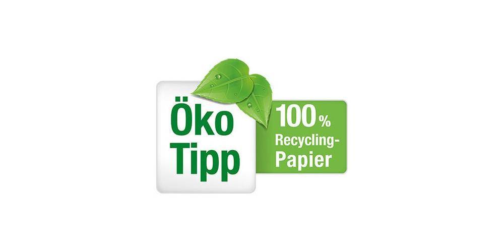 Packpapier 3560 75x100cm 75g Recyclingpapier 2 Bogen-3