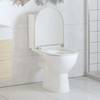 vidaXL Toilettensitz mit Absenkautomatik und Quick-Release-Design Weiß