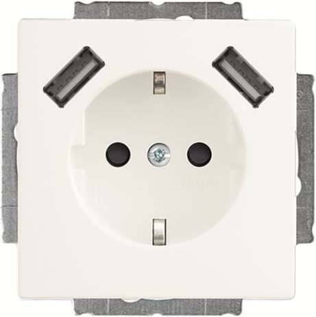 Busch-Jaeger SCHUKO-2x USB Steckdose 20 EUCB2USB-
