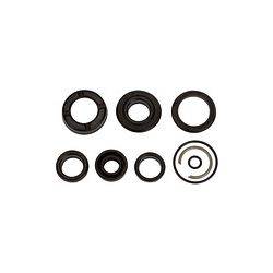 Riegler 235.19-M Seal set (wear part), for compact cyl, Piston Ø50, PU seal P\n: 106174-1