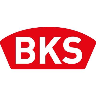 BKS Zimmertür-Einsteckschloss 0215 BB 20/ 55/72/8 mm DIN links silber  abgerundet kaufen