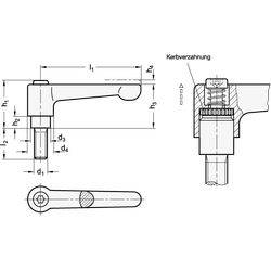 Flache verstellbare Klemmhebell, Zink-Druckguss, Schraube Edelstahl-1