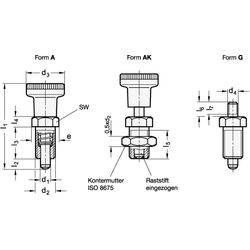Rastbolzen, Edelstahl / Kunststoff-Knopf-1