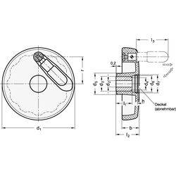 GN 521.3-125-K12-R Scheibenhandrad mit Umleggriff Elesa-1