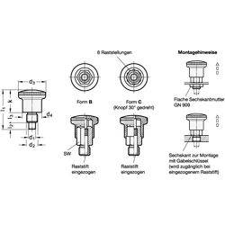 GN 822.6-6-M10X1-C Miniraster mit Rastung-1