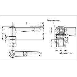 Flache verstellbare Klemmhebel, Zink-Druckguss, Buchse Edelstahl-1