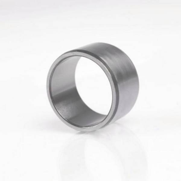 Innenring BI2045 R6 ID 45mm AD 55,4mm Breite22mm