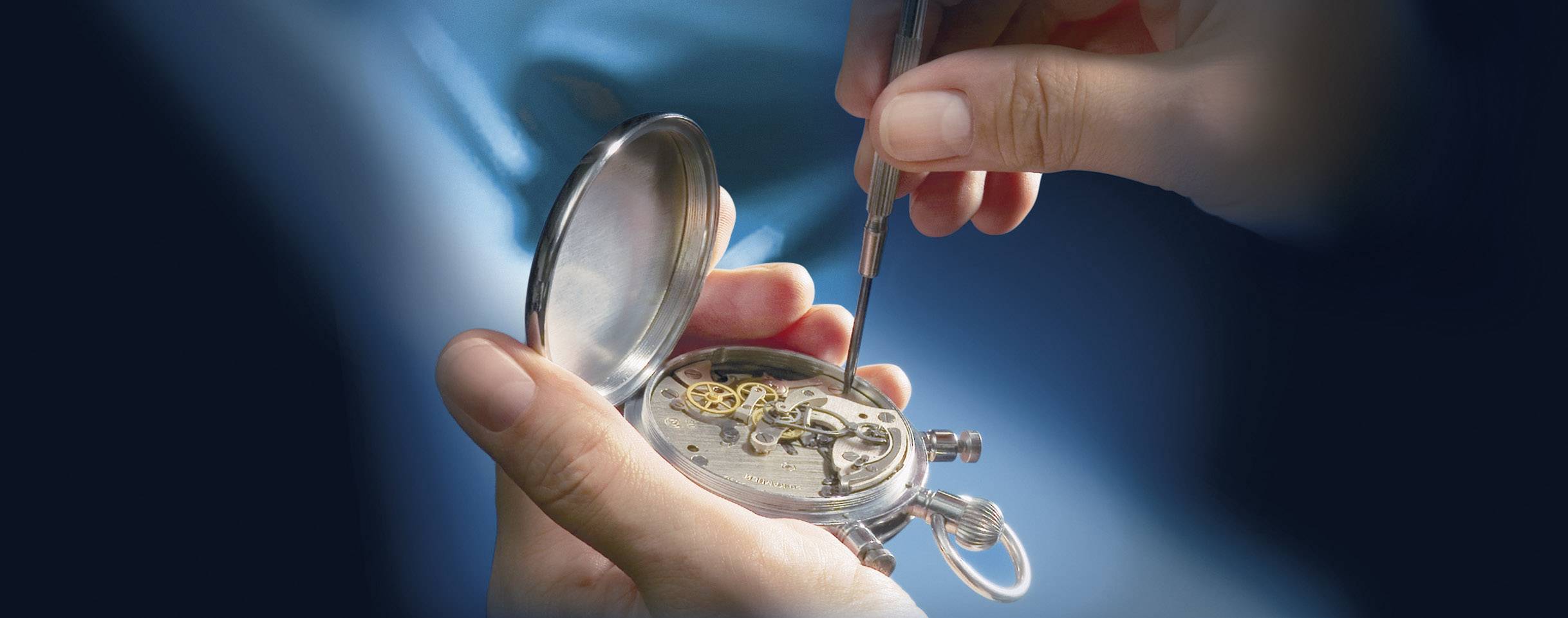 Eschenbach 162451 MAX DETAIL Lupenbrille Vergrößerungsfaktor: 2 x-3