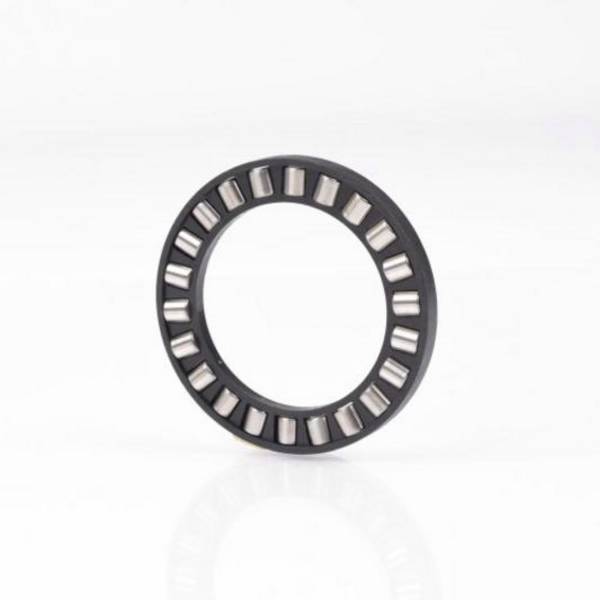Axial-Zylinderrollenlager K89313 -TV ID 65mm AD 115mm 0,203kg INA