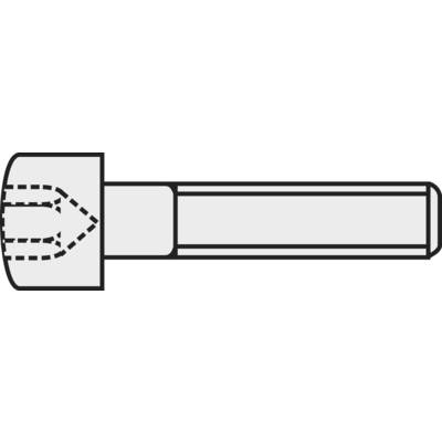 Ein technisches Diagramm zeigt eine Schnittansicht einer Schraube mit einem Kopf, einem Gewinde und einem angedeuteten Innenweg.