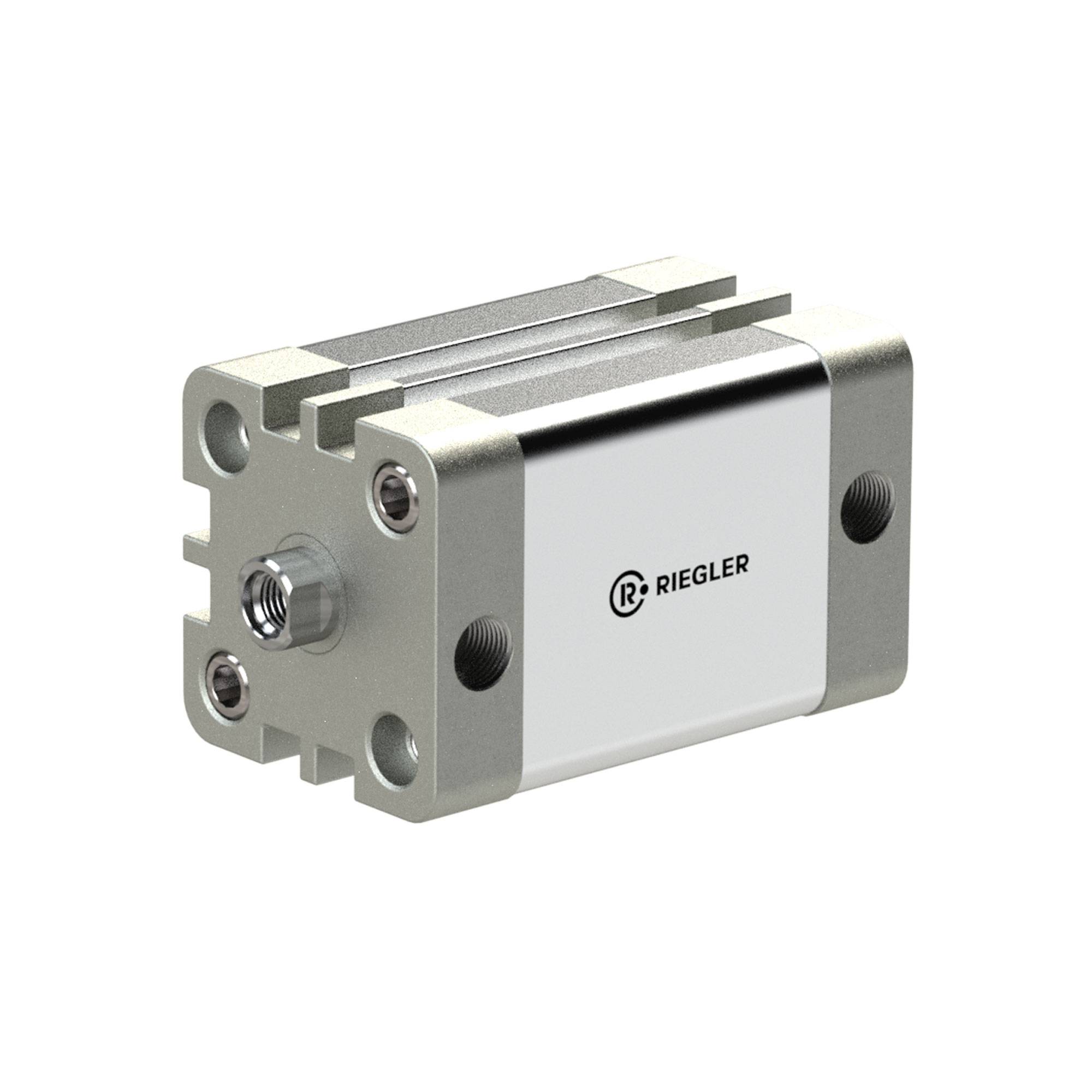 RIEGLER Kompaktzylinder, ISO 21287, doppeltwirkend, IG, Magnet, Kolben-Ø 25, Hub 20, M5, Arbeitsdruck max. 10 bar, Temp.-0