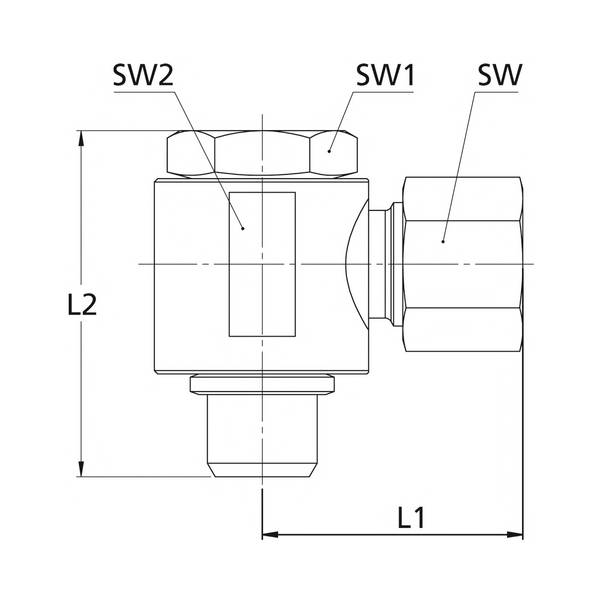 RIEGLER Schwenkbare Winkel-Verschraubung, G 1/8 a., Rohr-Außen-Ø 5 mm, SW1 12, SW2 14, Betriebsdruck max. 100 bar, Stahl