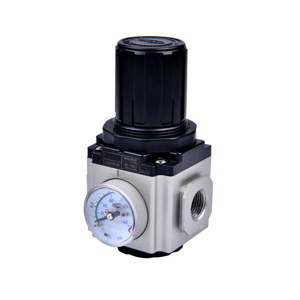 RIEGLER Druckregler »GA-mini«, inkl. Manometer und Haltewinkel, BG 200, G 1/4, Eingangsdruck max. 10 bar, Regelbereich 0