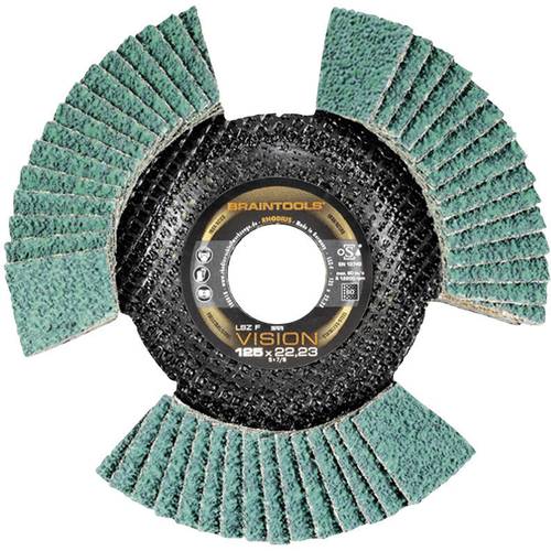 Rhodius 207079 LSZ F VISION Lamellenschleifscheibe Durchmesser 125 mm 1 St.