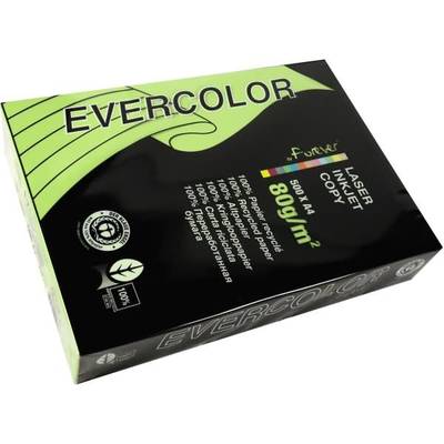 Multifunktionspapier evercolor RC A4 210x297mm 80g/qm lindgrün VE=500 Blatt