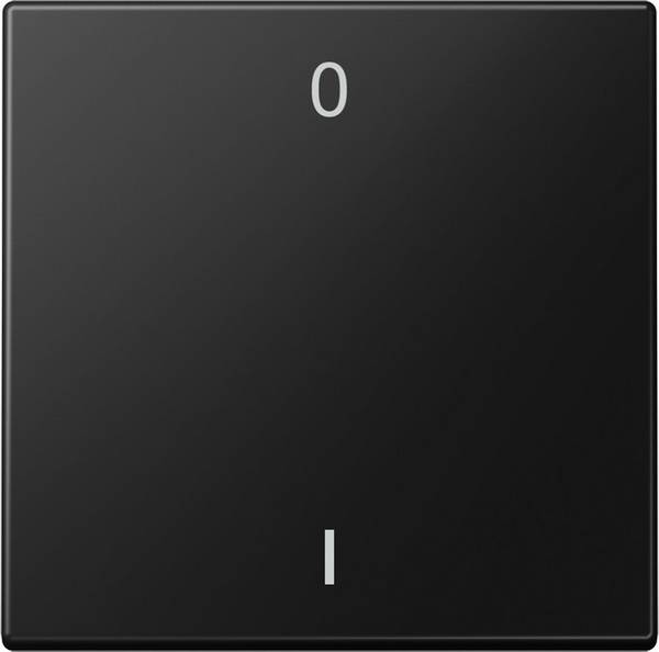 Jung Funk-Wandsender 2-Kanal ENO LS 990-01 SWM