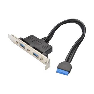 ASSMANN - USB-Konsole - USB Typ A (W) bis 20 PIN IDC (W)