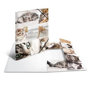 HERMA - Aktenmappe mit 3 Klappen - für A4 - Katzen-1