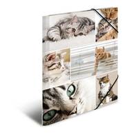 HERMA - Aktenmappe mit 3 Klappen - für A4 - Katzen-4