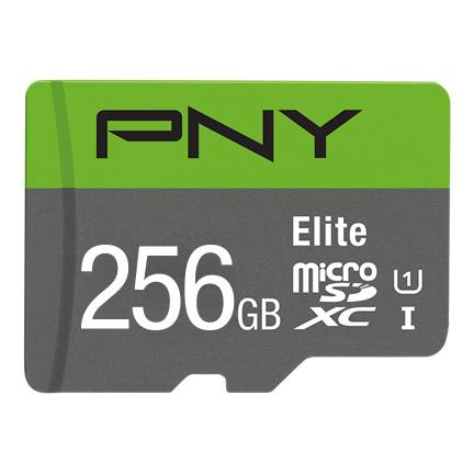PNY Elite - Flash-Speicherkarte - 256 GB - A1 / Video Class V10 / UHS Class 1 / Class10-3