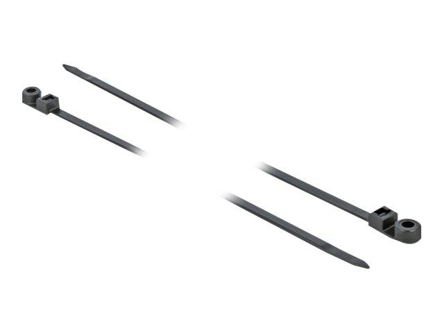 Delock Cable Tie with Fastening Eyelet - Kabelbinder - 40 cm - Schwarz (Packung-2