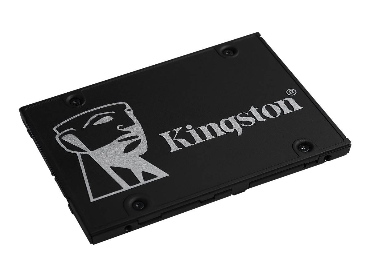 Kingston 256 GB Interne mSATA SSD SATA 6 Gb/s Retail SKC600MS/256G-1