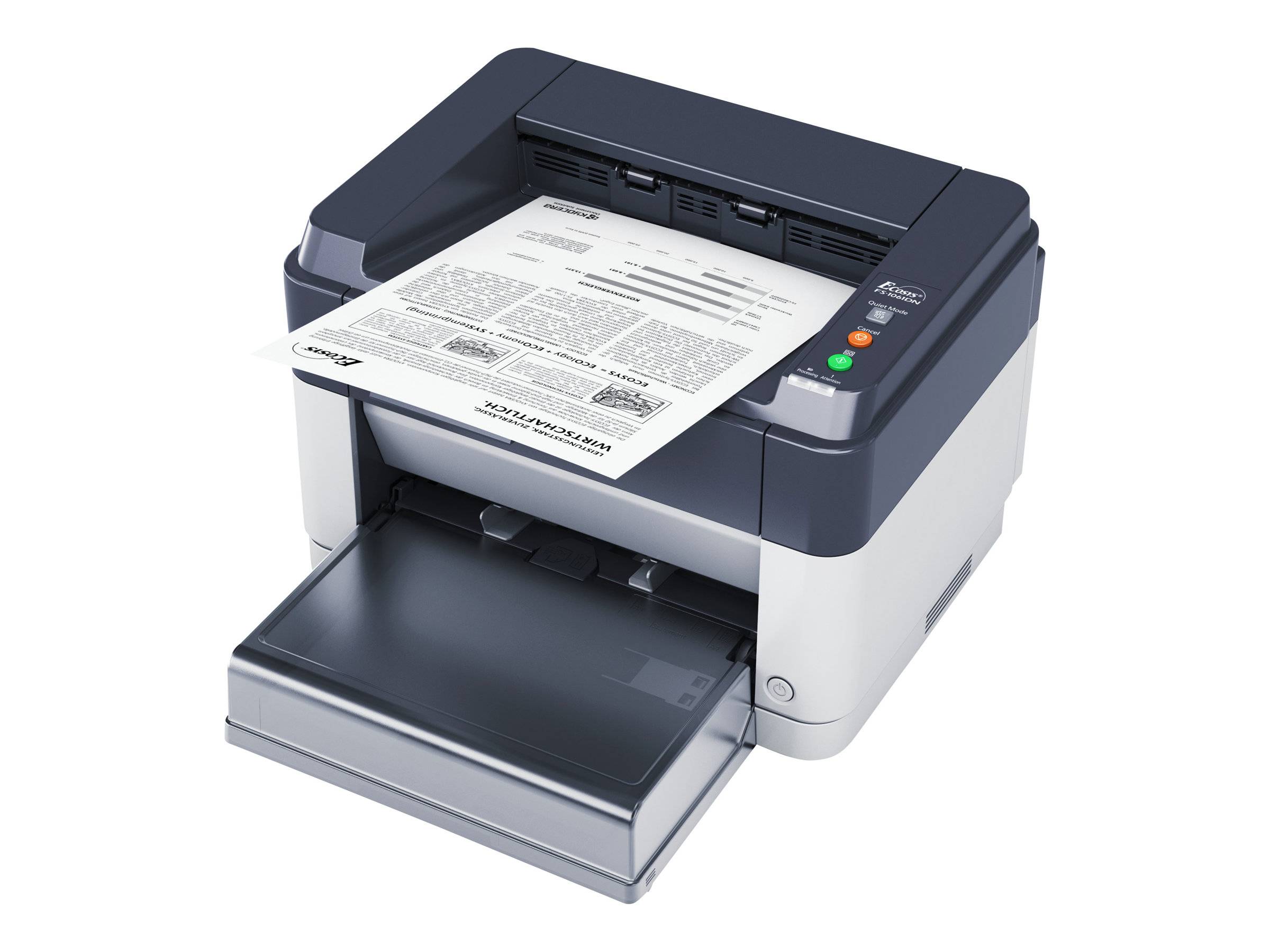 Kyocera FS-1061DN - Drucker - s/w - Duplex - Laser-2