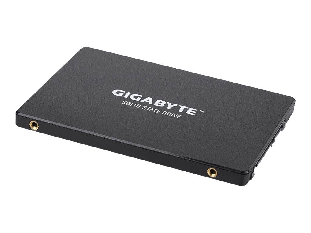 Gigabyte - SSD - 256 GB - intern - 2.5"" (6.4 cm)-1