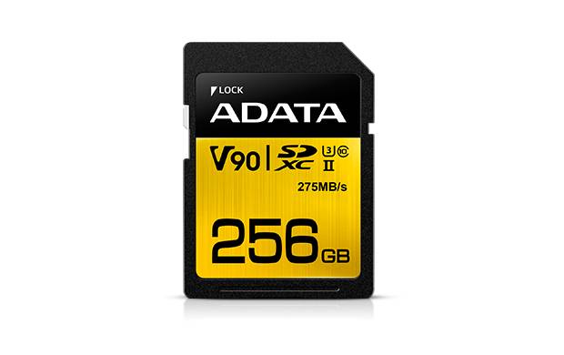 ADATA Premier ONE - Flash-Speicherkarte - 256 GB-1