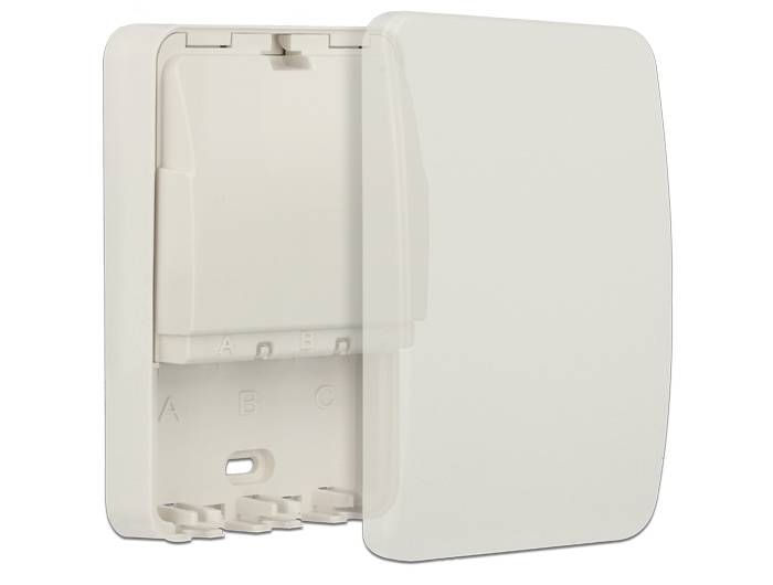 Delock Keystone Surface Mounted Box - Gehäuse-1