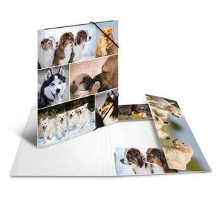 HERMA - Aktenmappe mit 3 Klappen - für A4 - Hunde-1