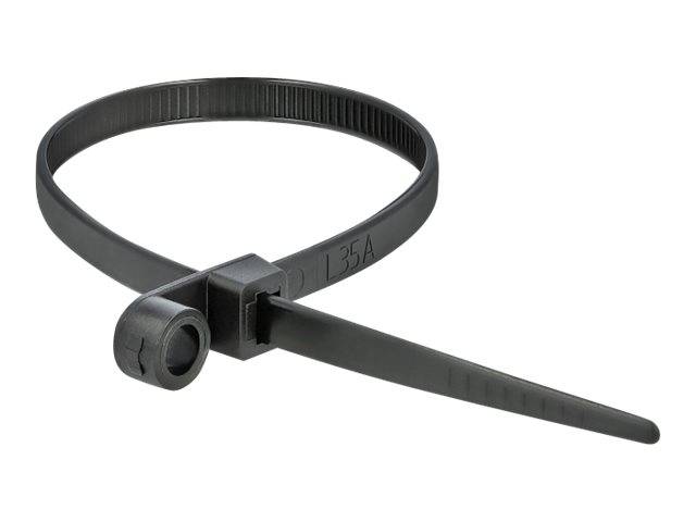 Delock Cable Tie with Fastening Eyelet - Kabelbinder - 30 cm - Schwarz (Packung-2