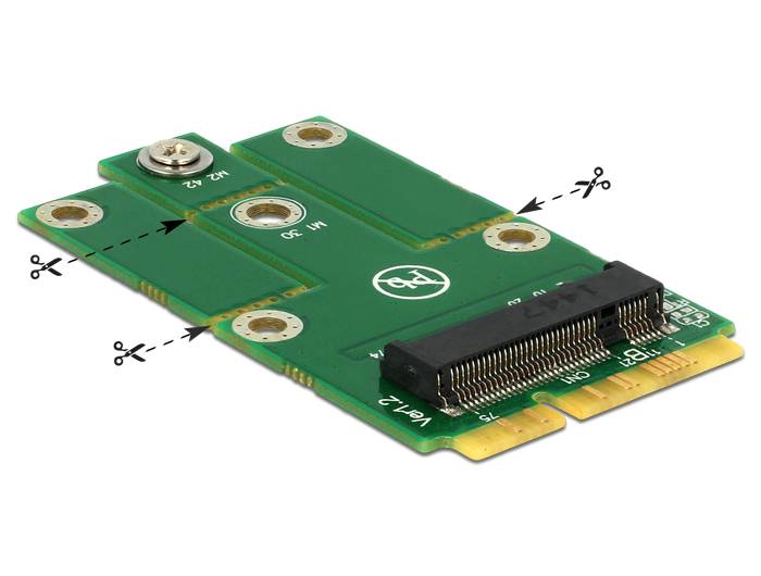 Delock Adapter MiniPCIe > M.2 NGFF - Speicher-Controller-1