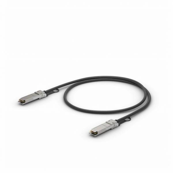 UbiQuiti UniFi - 25GBase Direktanschlusskabel - SFP28 (M) - zu SFP28 (M) - 50 cm-2