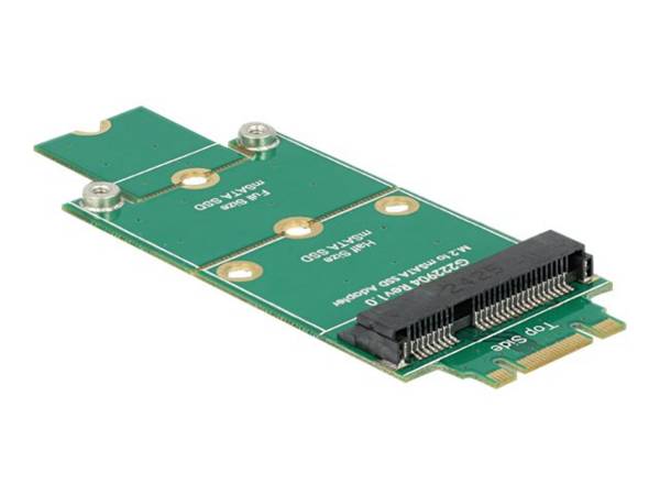 Delock Adapter mSATA > M.2 NGFF Speicher-Controller Card