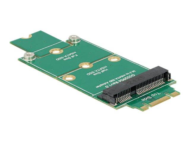Delock Adapter mSATA > M.2 NGFF Speicher-Controller Card-0