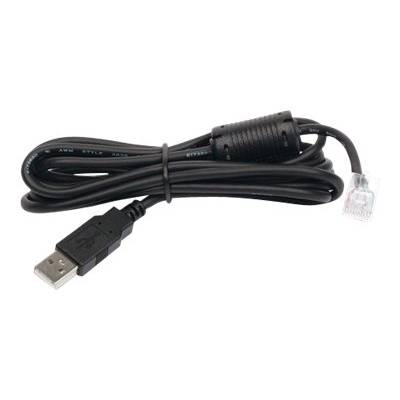 APC - USB-Kabel - USB (M) bis RJ-45 (10-polig) (M)
