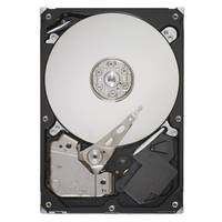 Lenovo ThinkSystem - Festplatte - 1 TB - intern - 3.5" (8.9 cm)-1