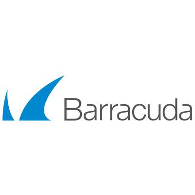 Barracuda CloudGen Firewall Insights for Barracuda CloudGen Firewall VF10 - Abonnement-Lizenz (1 Monat)
