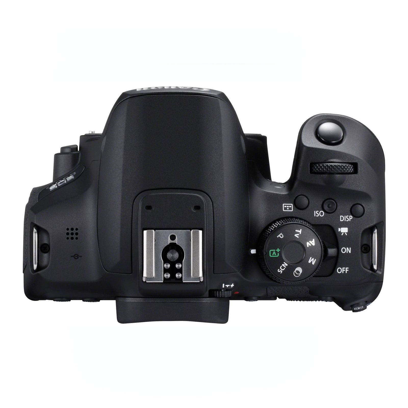 Canon EOS 850D + EF-S 18-135mmf/3,5-5,6 iS USM (Lieferung nur an Gesellschafter mit SIP-Vertrag)-3