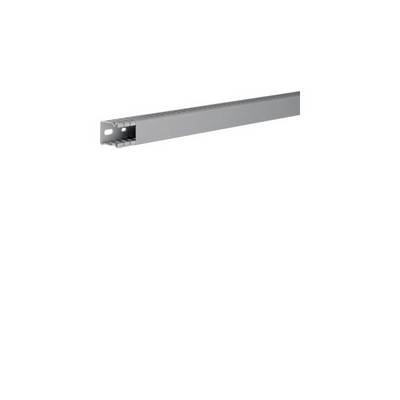 2 Mtr. Tehalit Verdrahtungskanal BA6 30025B gr-0