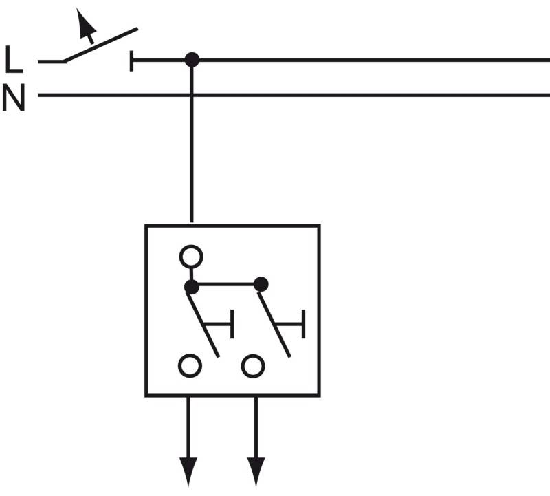 Busch-Jaeger Doppeltaster-Einsatz 2020 US-205-101-1