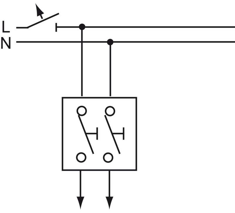 Busch-Jaeger Doppeltaster-Einsatz 2020 US-205-101-2