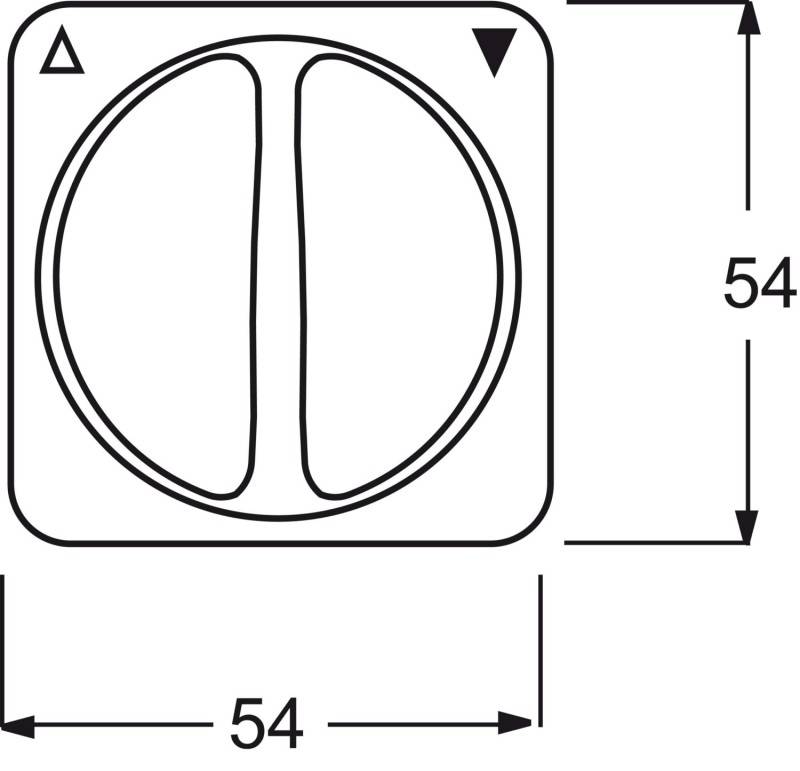 Busch-Jaeger Zentralscheibe aws 2542 DR-214-1