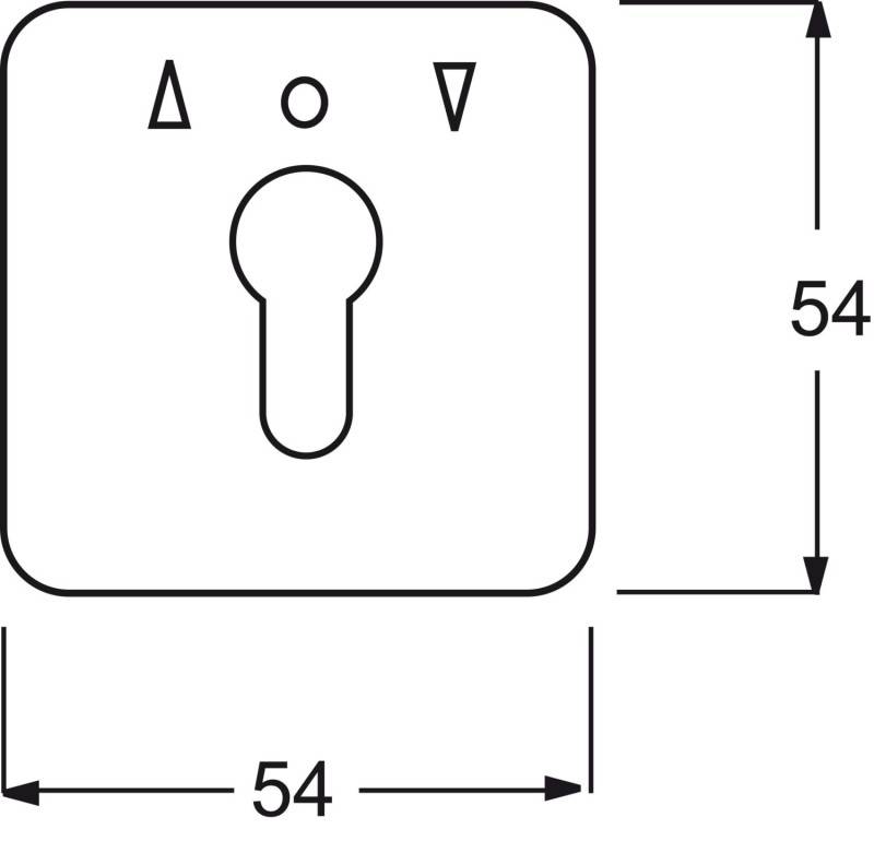 Busch-Jaeger Zentralscheibe aws 2557 PZ-214-101-1